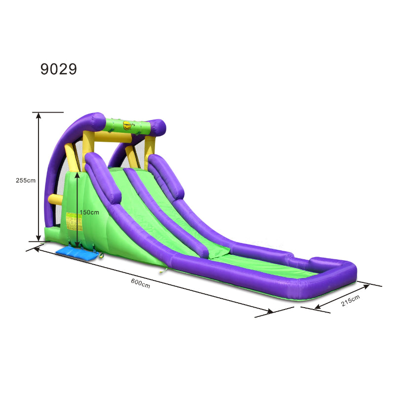 Double The Fun Twin Water Slide