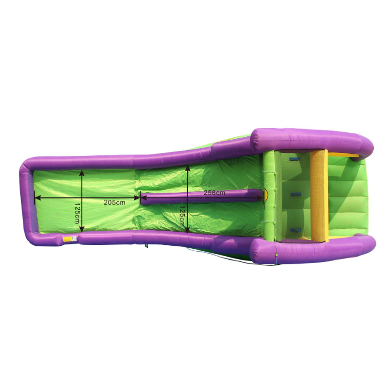 Double The Fun Twin Water Slide