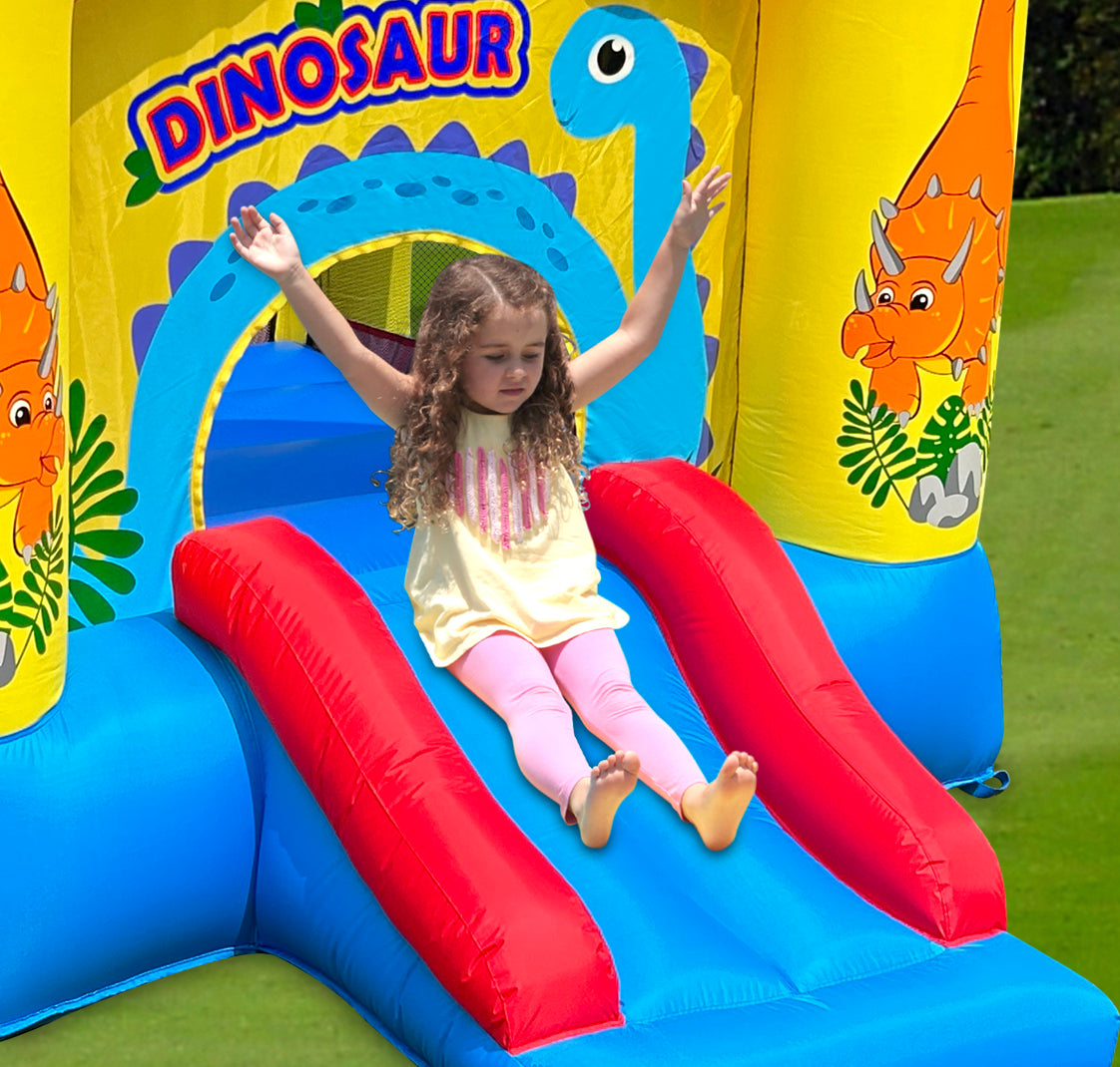 Dinosaur Slide & Hoop Bouncer