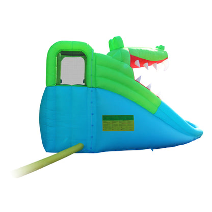 Crocodile Double Slide Fun Park