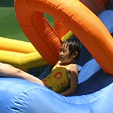 Monster Inflatable Water Park- Wet & Dry