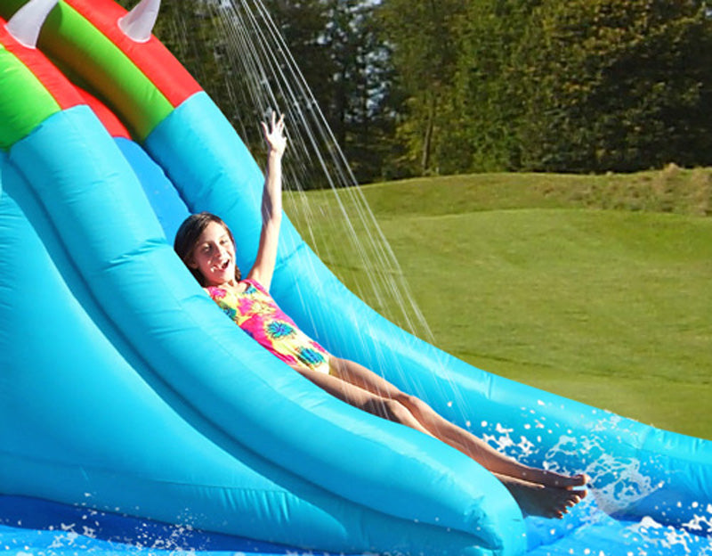 Crickey Crocodile Wet & Dry Water Slide